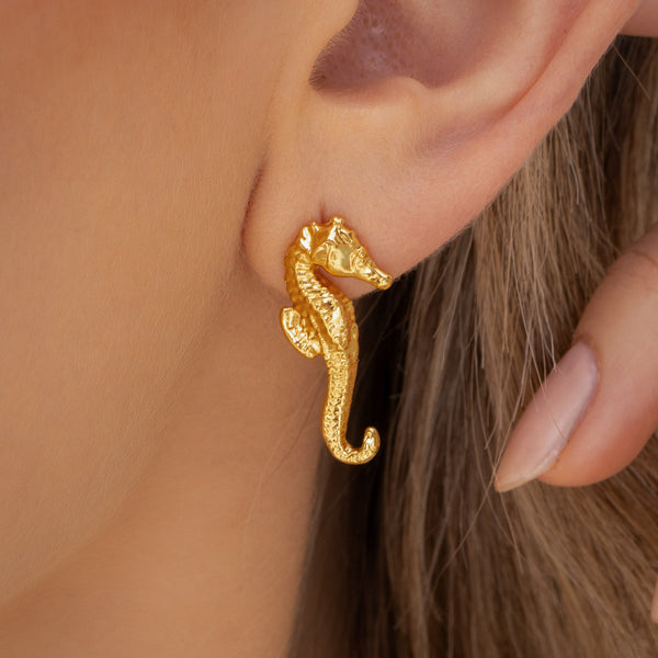Aretes Caballito de Mar