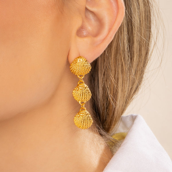 Maxi Aretes Concha Largo