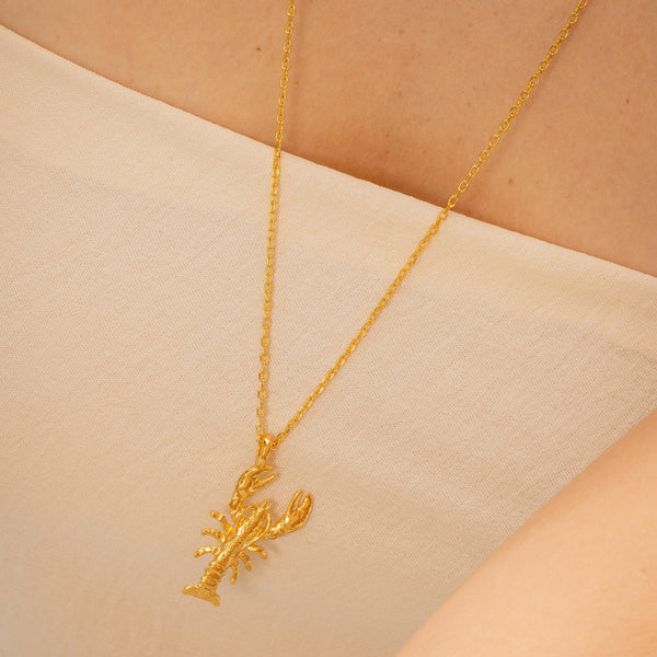Collar Langosta + Aretes