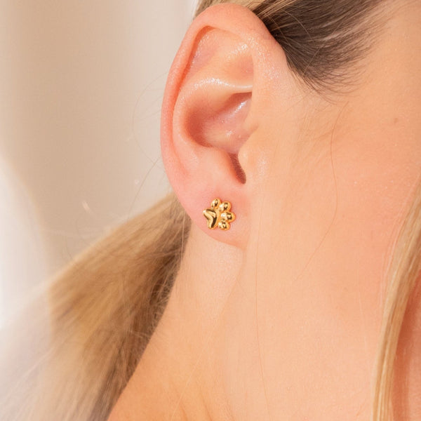 Aretes Mini Huella